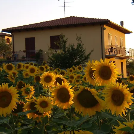 Il Girasole - & House In Country - Air Conditioned - 1500 Meters From Historic Center