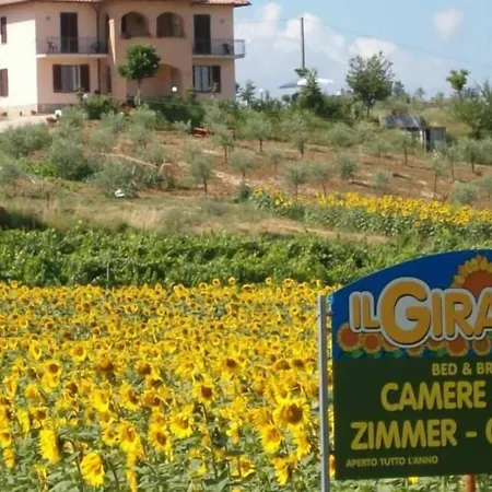 Nocleg ze śniadaniem Il Girasole - & House In Country - Air Conditioned - 1500 Meters From Historic Center 4*