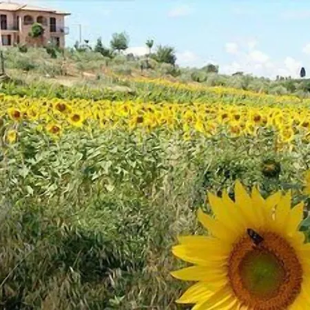 Bed & Breakfast Il Girasole - & House In Country - Air Conditioned - 1500 Meters From Historic Center Montepulciano Stazione