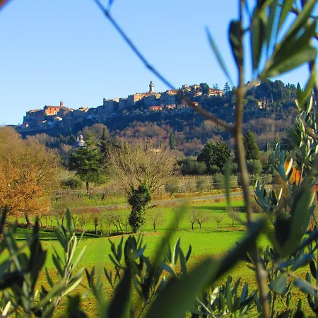 Il Girasole - & House In Country - Air Conditioned - 1500 Meters From Historic Center 4*