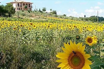 Il Girasole - & House In Country - Air Conditioned - 1500 Meters From Historic Center 3* Монтепульчано
