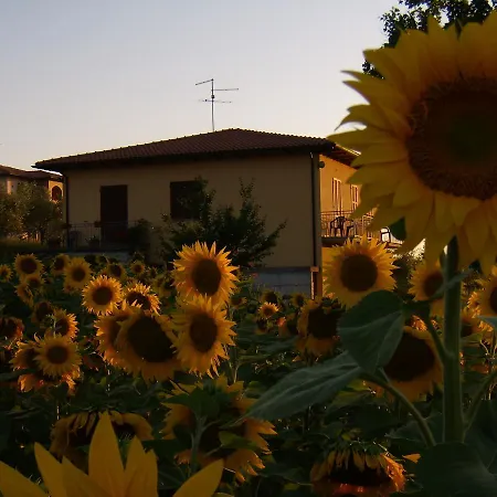 Il Girasole - & House In Country - Air Conditioned - 1500 Meters From Historic Center Отель типа 